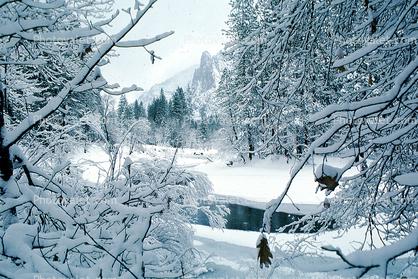 Merced River and Cathedral Rock, Snowy Trees, Valley, Forest, Winter