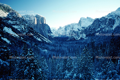 El Capitan, Snowy Trees, Valley, Forest, Winter, Granite Cliff