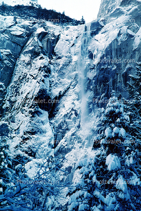 small avalanche, Snowy Trees, Valley, Forest, Winter