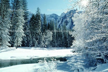 Merced River, Snowy Trees, Valley, Forest, Winter