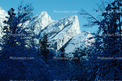 Three Brothers, Snowy Trees, Valley, Forest, Winter
