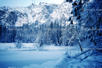 Frozen Merced River, Snowy Trees, Valley, Forest, Winter