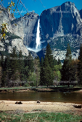 Yosemite Falls, Waterfall, Merced River, Forest, shore, granite
