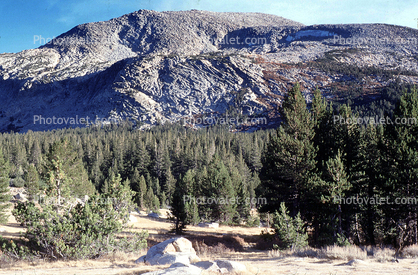 Granite Cliff, trees, forest, Tenaya Lake, water