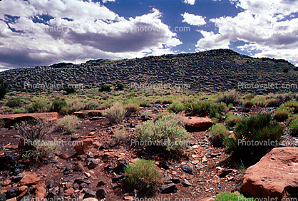 Desert Scrub, Wupatki National Monument