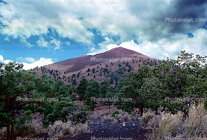 magma field, igneous rock, Cinder Cone, Trees