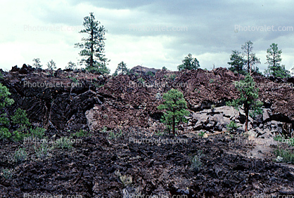 magma field, igneous rock, trees