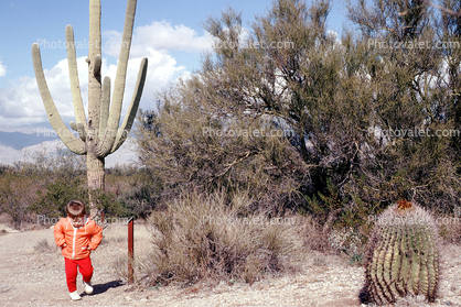 Saguaro Cactus, Desert, Child