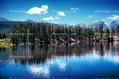 Sprague Lake and the Continental Divide, trees, forest, mountains, Rocky Mountain National Park, water