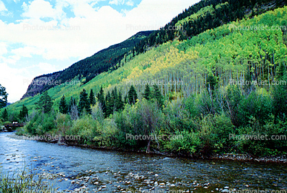 River, forest, woodland, Rocky Mountains