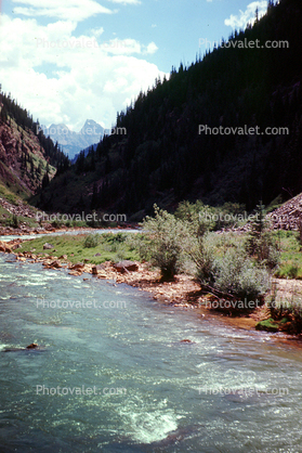 Valley, vibrant river, water