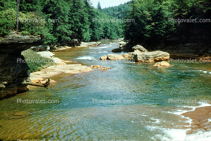 River, Stream