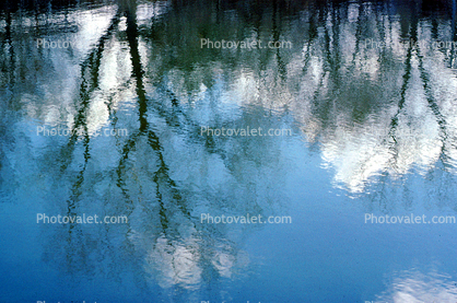water reflections