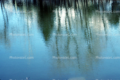 water reflections