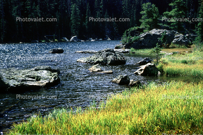 River, rocks, grass, Forest, Trees, Woodland, Fall Colors, Autumn, Vegetation, Flora, Plants, Colorful, Woods, Exterior, Outdoors, Outside