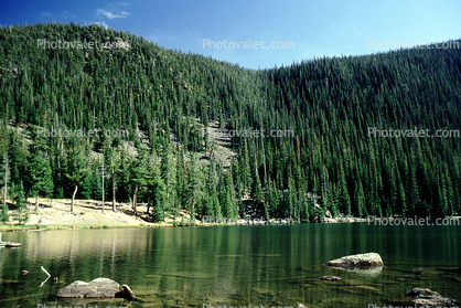 Lake, Pond, Rocks, Mountain, Forest, Trees, Woodland, Vegetation, Flora, Plants, Woods, Exterior, Outdoors, Outside, water