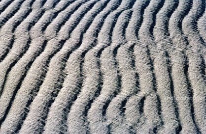 Sand Texture