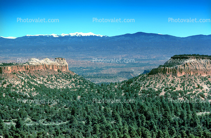 forest, mountain range, near Los Alamos