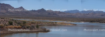 Lower Pahranagat Lake, Wetlands, Lake, Water, Reeds, Pahranagat National Wildlife Refuge