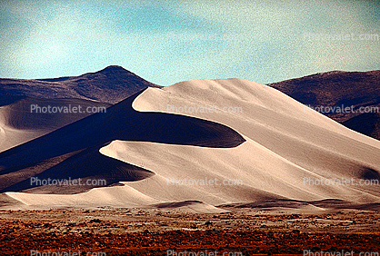 Shadow, hills, brush, shapes Sand Dunes
