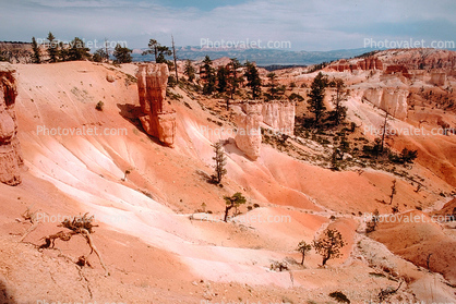 fractals, Erosion, Weathering, Bryce Canyon National Park
