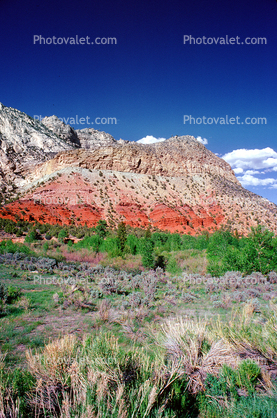 Mountain and shrubs, Flaming Gorge National Recreation Area, Daggett County
