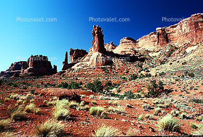 Sandstone, Cliff, stratum, strata, layered, sedimentary rock, scrub brush, bush, knob, tower, butte