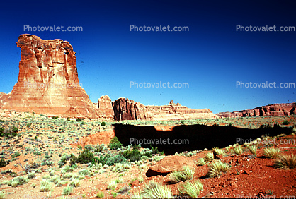 Sandstone, Cliff, stratum, strata, layered, sedimentary rock, scrub brush, bush, knob, tower