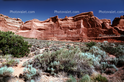 Sandstone Cliff, stratum, strata, layered, sedimentary rock, scrub brush, bush