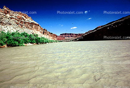 Colorado River, Water, trees, silt, mud, muddy, flow, flowing