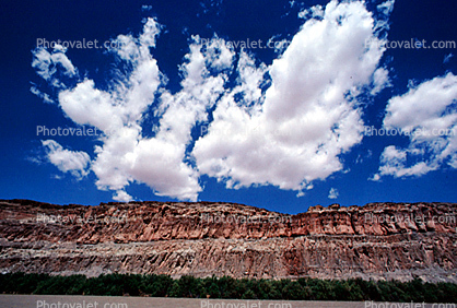 Cumulus Puffy Clouds, Colorado River, Water, trees, Sandstone Cliff, stratum, strata, layered, sedimentary