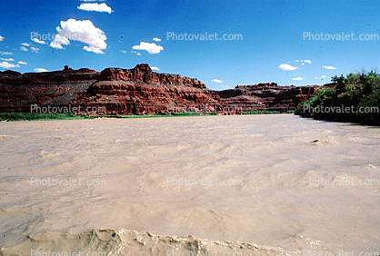 Colorado River, Water, trees, clouds, silt, mud, muddy