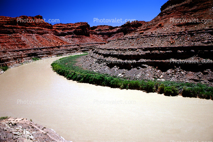 Colorado River, Canyonlands National Park, Sandstone Cliff, trees, stratum, layered, sedimentary rock