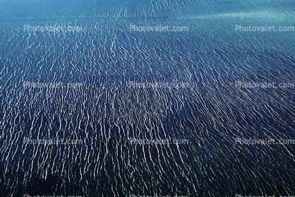 Great Salt Lake, wind patterns, texture, water