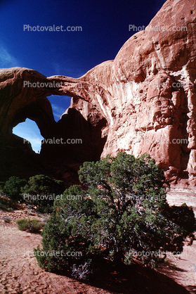 arches, sandstone cliffs, trees
