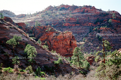 Sandstone Cliffs, Trees, Valley