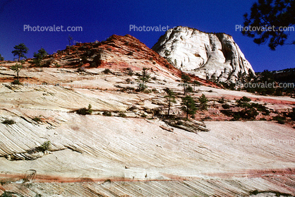 Sandstone Cliff, Zion National Park