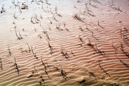 Shadow fractalsSaint Ripples in the Sand, Coral Pink Sand Dunes State Park, Wavelets