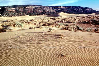 Ripples in the Sand, Coral Pink Sand Dunes State Park, Wavelets