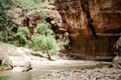 River, Trees, Canyon Cliffs