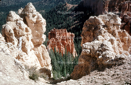 Internal smallnes, Sandstone eroding, forest, cliff