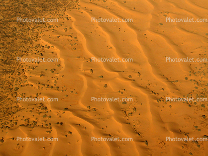 Fractal Patterns in the Sand Dunes