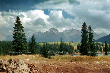 Mountains, Clouds, Trees, Forest