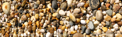 Shells, Beach, Rocks, Pebbles, Orient Point, Long Island, New York, Panorama, Wet, Liquid, Water