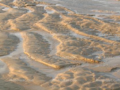 Ripples, Wet, Liquid, Water, Wavelets, sand fractals
