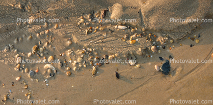 Beach, Sand, Water, Patterns, Cape Henlopen State Park, Lewes, Delaware, Panorama, Wet, Liquid