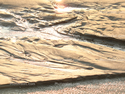 Beach, Sand, Water, Patterns, Cape Henlopen State Park, Lewes, Delaware, Wet, Liquid