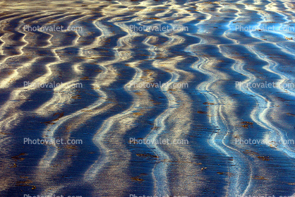 Wavey Wet Sand