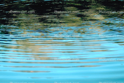 Water Reflection, Concentric Wavelets, rings, circles