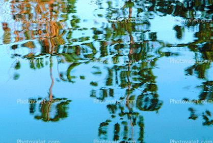 Water Reflection